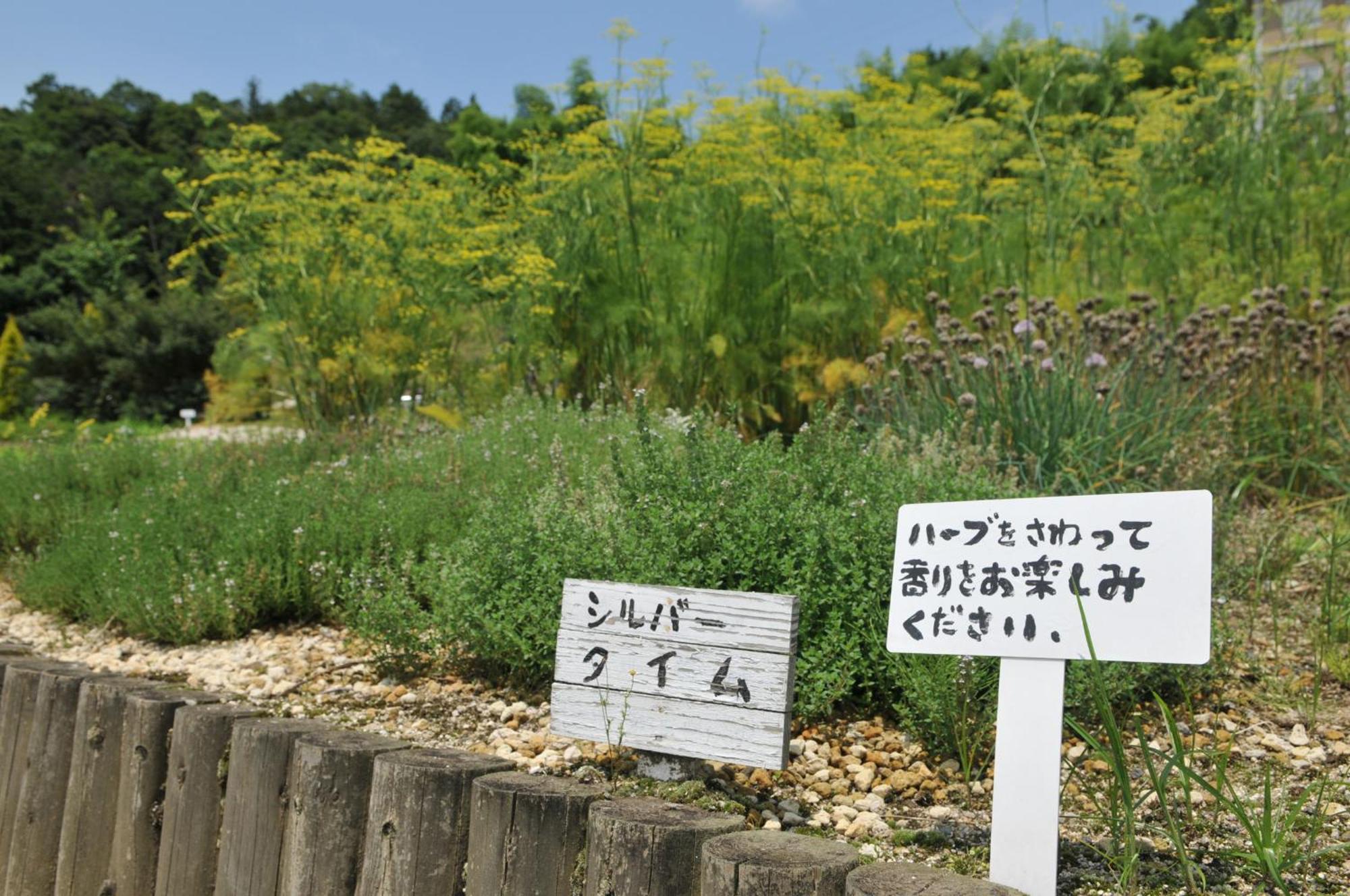 Hashidate Bay Hotel Yosano Ngoại thất bức ảnh